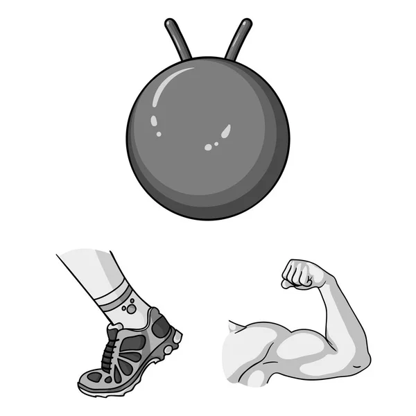 Fitness e atributos ícones monocromáticos na coleção de conjuntos para design. Fitness equipamento vetor símbolo web ilustração . — Vetor de Stock