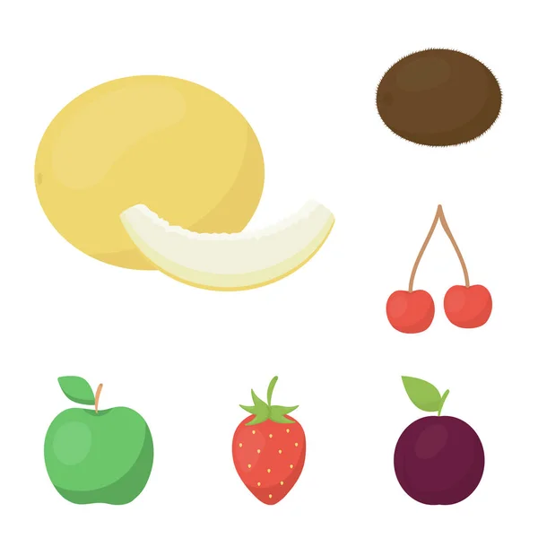 Diferentes frutas iconos de dibujos animados en la colección de conjuntos para el diseño. Frutas y vitaminas vector símbolo stock web ilustración . — Vector de stock