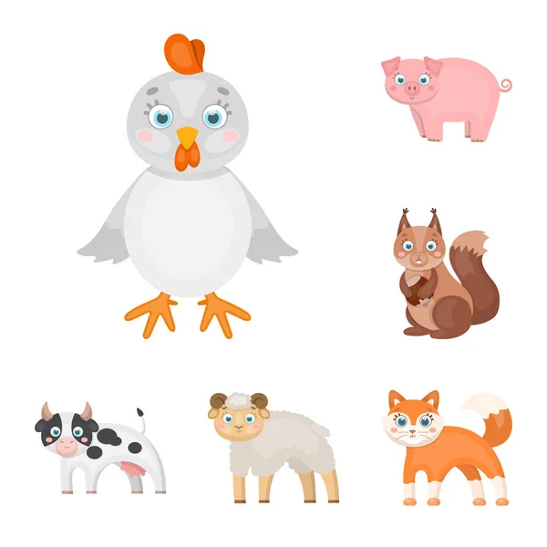Oyuncak hayvanlar set koleksiyonu tasarım için simgeleri karikatür. Kuş, predator ve otobur sembol stok web illüstrasyon vektör. — Stok Vektör