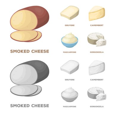 Gruyere, camembert, mascarpone, gorgonzola. Farklı peynir toplama simgeler çizgi film, tek renkli stil vektör simge stok illüstrasyon ayarla. .