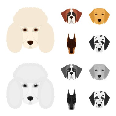 Farklı doğurmak-in köpek ağızlık. St. Bernard, golden retriever, Doberman, Dalmaçyalı doğurmak köpek toplama simgeler çizgi film, tek renkli stil vektör simge stok çizim web ayarla..
