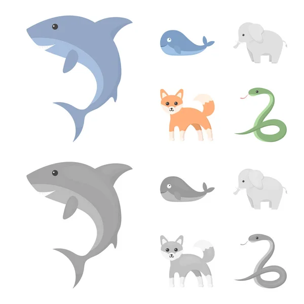Whale, elephant,snake, fox.Animal set collection icons in cartoon,monochrome style vector symbol stock illustration web. — Stock Vector