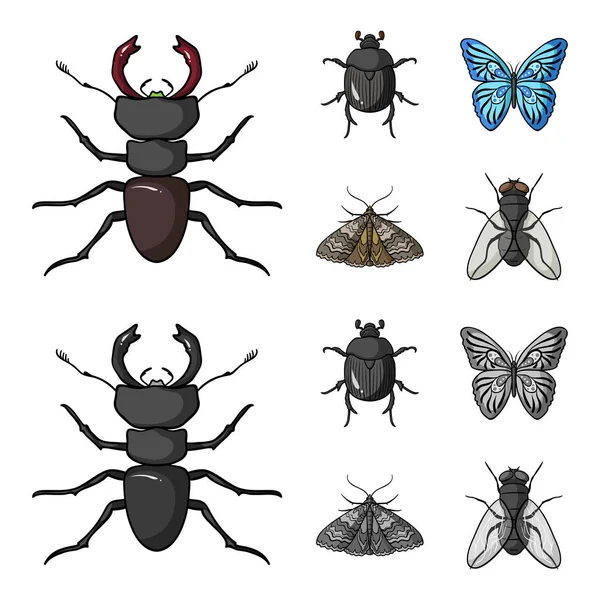 Wrecker, parasite, nature, butterfly .Insects set collection icons in cartoon,monochrome style vector symbol stock illustration web. — Stock Vector