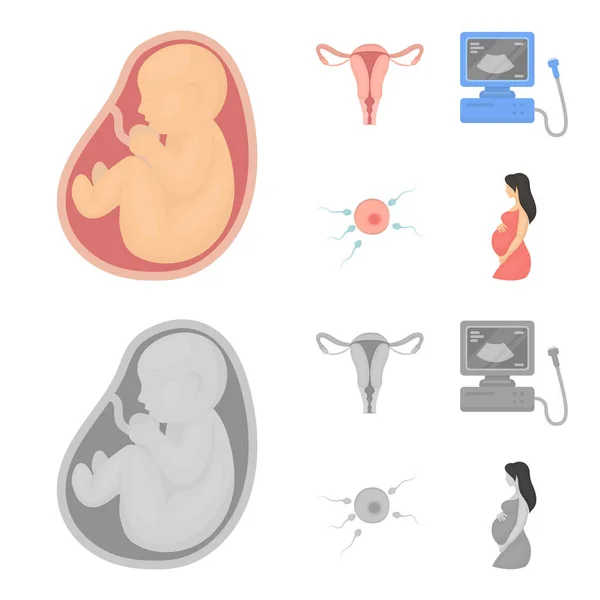Děloha, přístroj ultrazvuk, hnojení. Těhotenství sada kolekce ikon v karikatuře, monochromatické stylu vektor symbol akcií ilustrace web. — Stockový vektor