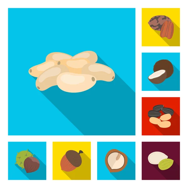 Diferentes tipos de ícones planos de nozes na coleção de conjuntos para design.Nut Food vector symbol stock web illustration . — Vetor de Stock