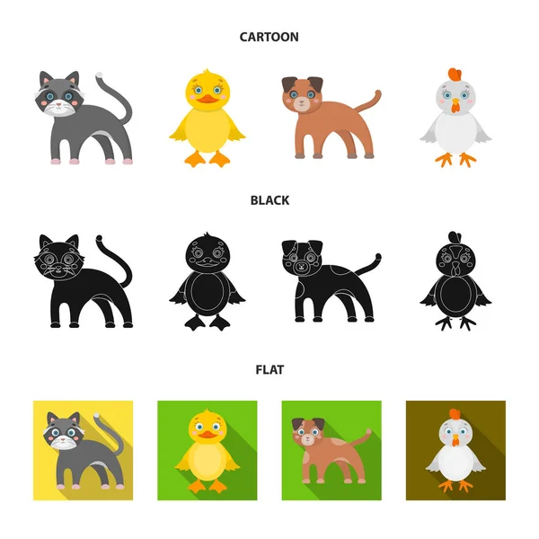 Entretenimiento, granja, mascotas y otro icono web en dibujos animados, negro, estilo plano. Huevos, juguetes, iconos de recreación en la colección de conjuntos . — Archivo Imágenes Vectoriales