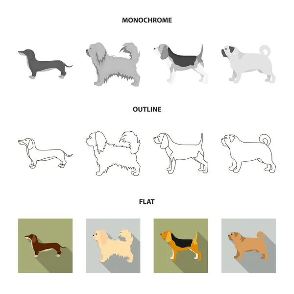 Pikinise, teckel, carlin, peggy. races de chiens ensemble icônes de la collection à plat, contour, monochrome style vectoriel symbole illustration web . — Image vectorielle