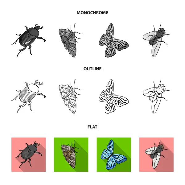 Arthropods insect beetle, moth, butterfly, fly. Insects set collection icons in flat,outline,monochrome style vector symbol stock isometric illustration web. — Stock Vector