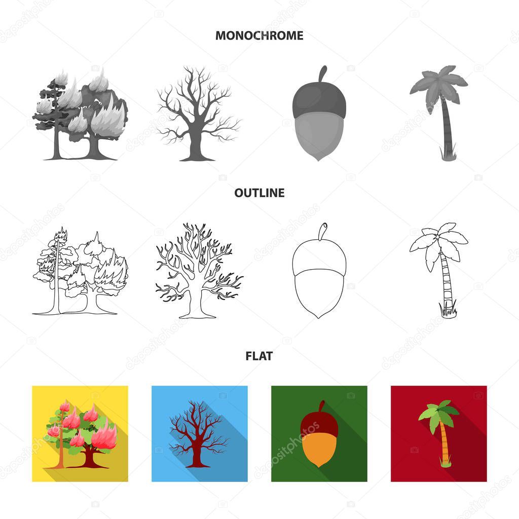 Burning tree, palm, acorn, dry tree.Forest set collection icons in flat,outline,monochrome style vector symbol stock illustration web.