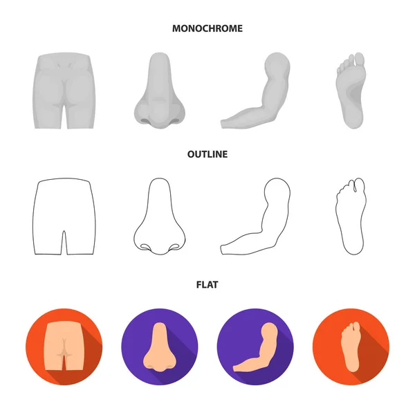 Nalgas, nariz, brazo, pie. Parte de los iconos de la colección body set en plano, contorno, estilo monocromo vector símbolo stock ilustración web . — Vector de stock