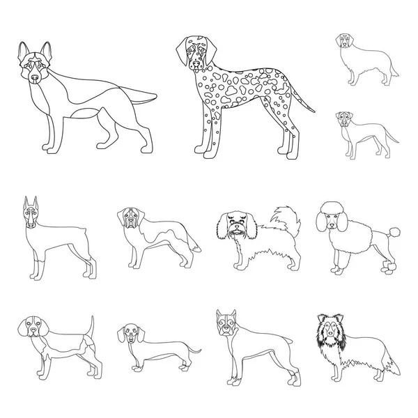 Raças de cães delinear ícones na coleção de conjuntos para design.Dog animal de estimação símbolo vetorial ilustração web . — Vetor de Stock