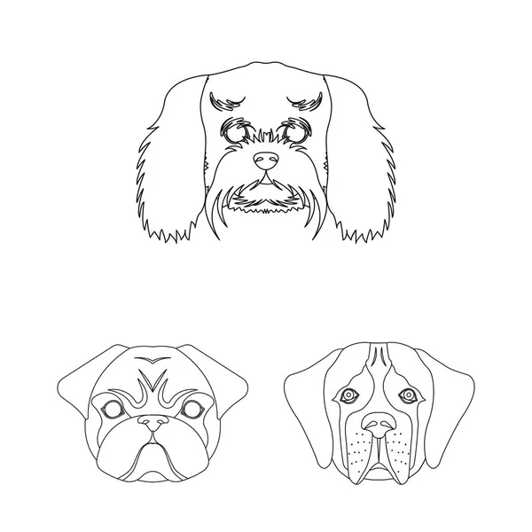 Hunderassen umreißen Symbole in Set-Kollektion für Design. Schnauze eines Hundesymbols stock web illustration. — Stockvektor