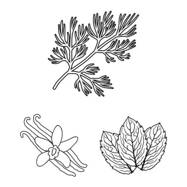 Ot ve baharat set koleksiyonu tasarım için simgeleri anahat. Baharat çeşitleri simge stok web illüstrasyon vektör.