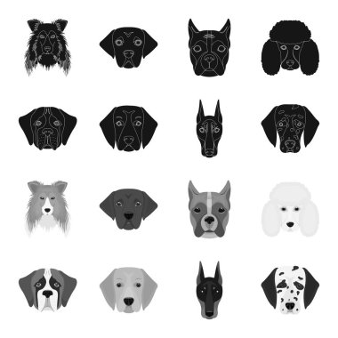 Farklı doğurmak-in köpek ağızlık. St. Bernard, golden retriever, Doberman, Dalmaçyalı doğurmak köpek toplama simgeler siyah, tek renkli stil vektör simge stok çizim web içinde ayarla..