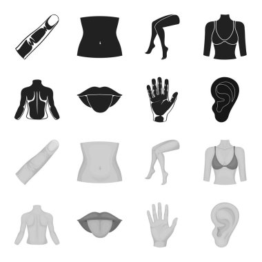 Kişi, ağız, el, kulak arkası. Gövde bölümü toplama simgeler siyah, tek renkli stil vektör simge stok çizim web içinde ayarla..