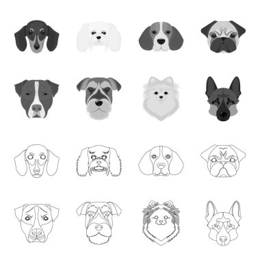 Farklı doğurmak-in köpek ağızlık. Köpek doğurmak Stafford, Spitz, Risenschnauzer, Alman çoban köpeği anahat, tek renkli stil vektör simge stok çizim web simgeler ayarla.