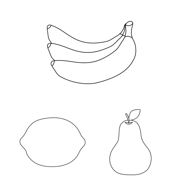 Diferentes frutas esbozan iconos en la colección de conjuntos para el diseño. Frutas y vitaminas vector símbolo stock web ilustración . — Vector de stock