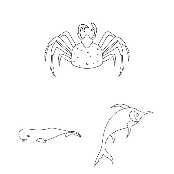 Разнообразие морских животных очерчивает иконки в наборе коллекции для дизайна. Рисунок векторных символов рыбы и моллюсков . — стоковый вектор