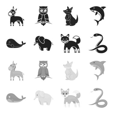 Balina, fil, yılan, fox. Hayvan toplama simgeler siyah, tek renkli stil vektör simge stok çizim web içinde ayarla..