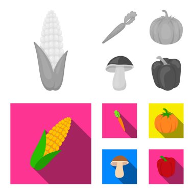 Mısır Mısır, vitamini havuç tops, kabak, orman mantar ile. Sebze toplama simgeler tek renkli, düz stil vektör simge stok çizim web ayarla..