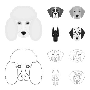 Farklı doğurmak-in köpek ağızlık. St. Bernard, golden retriever, Doberman, Dalmaçyalı doğurmak köpek toplama simgeler anahat, tek renkli stil vektör simge stok çizim web ayarla..