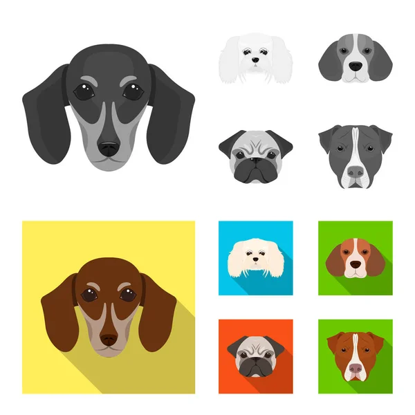 Bocal de raças diferentes de cães. Raça de cão de dachshund, lapdog, beagle, pug conjunto ícones de coleção em monocromático, estilo plano vector símbolo ilustração web . — Vetor de Stock