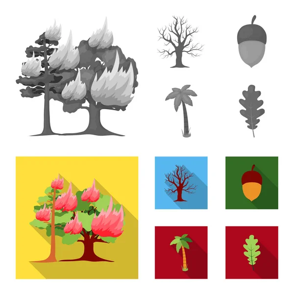 Κάψιμο palm tree, βελανίδι, ξηρή δέντρο. Δάσος συλλογή εικόνες που σε μονόχρωμη, επίπεδη στυλ διάνυσμα σύμβολο μετοχής εικονογράφηση web. — Διανυσματικό Αρχείο