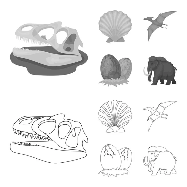 Prehistoric shell, dinosaur eggs,pterodactyl, mammoth. Dinosaur and prehistoric period set collection icons in outline,monochrome style vector symbol stock illustration web. — Stock Vector