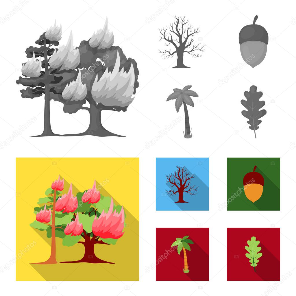 Burning tree, palm, acorn, dry tree.Forest set collection icons in monochrome,flat style vector symbol stock illustration web.