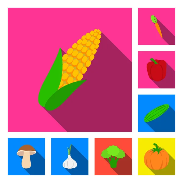 Verschiedene Arten von Gemüse flache Symbole in Set-Kollektion für Design. Gemüse und Vitamine Vektor Symbol Stock Web Illustration. — Stockvektor
