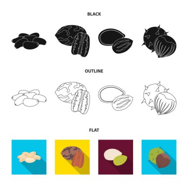 Cevizli, çam fıstığı, kabak çekirdeği, kestane. Farklı türde fındık toplama Icons set siyah, düz, anahat stili vektör simge stok çizim web.