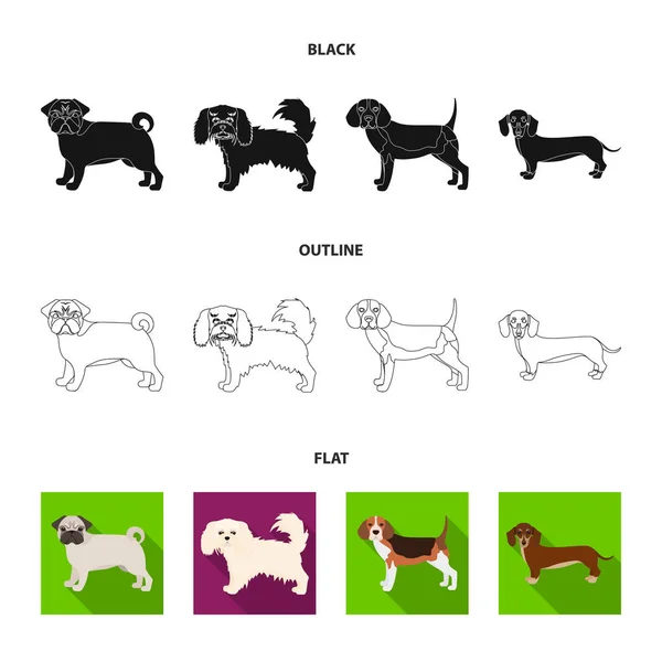 Perro razas negro, plano, iconos de contorno en la colección de conjuntos para design.Dog mascota vector símbolo stock web ilustración . — Vector de stock