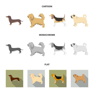 Pikinise, dachshund, pug, peggy. Köpek doğurmak küme toplama simgeler karikatür, düz, tek renkli stil vektör simge stok çizim web.