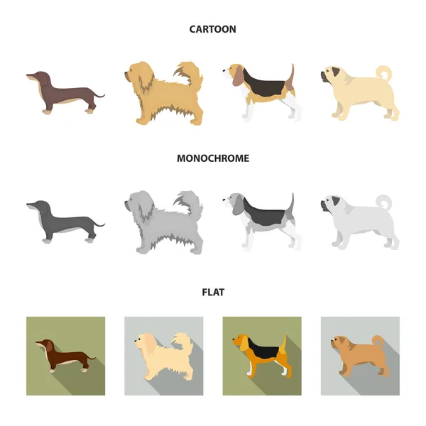 Piquinise, dachshund, pug, peggy. Raças de cães conjunto ícones de coleção em desenhos animados, plana, estilo monocromático símbolo vetorial estoque ilustração web . — Vetor de Stock