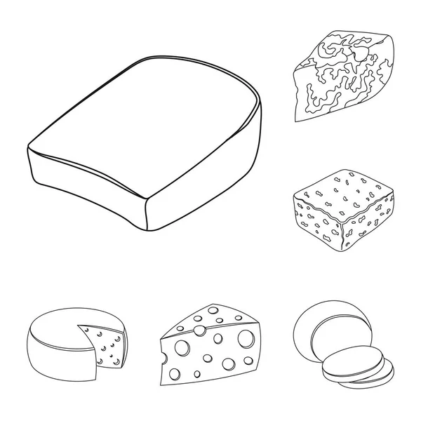 Различные виды иконок контуров сыра в коллекции для design.Milk продукт вектор сыра символа запаса веб-иллюстрация . — стоковый вектор