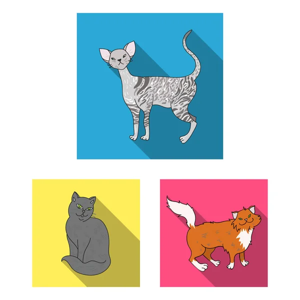 Breeds of cats flat icons in set collection for design. Pet cat vector symbol stock web illustration. — Stock Vector