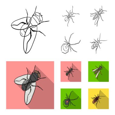 Böcek bir eklem bacaklılar, bir osa, bir örümcek, Hamam böceği. Böcekler toplama simgeler anahat, düz stil vektör simge stok izometrik çizim web ayarla..