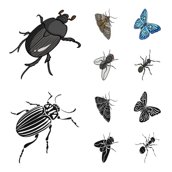 Scarabeo insetti artropodi, falena, farfalla, mosca. Insetti set icone di raccolta in cartone animato, nero stile vettoriale simbolo stock isometrico illustrazione web . — Vettoriale Stock