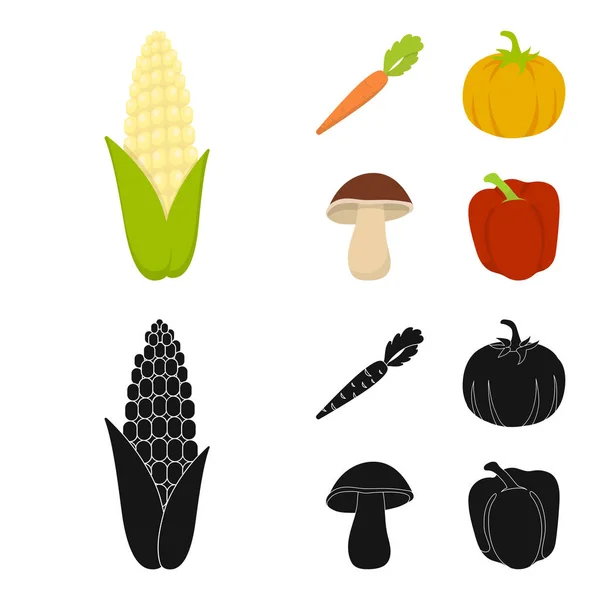 Mais, Vitaminkarotten mit Spitzen, Kürbis, Waldpilz. Gemüse Set Sammlung Symbole in Cartoon, schwarzer Stil Vektor Symbol Stock Illustration Web. — Stockvektor