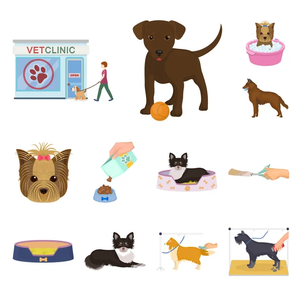 Animali domestici icone dei cartoni animati in collezione set per il design. Cura e istruzione vettore simbolo stock web illustrazione . — Vettoriale Stock