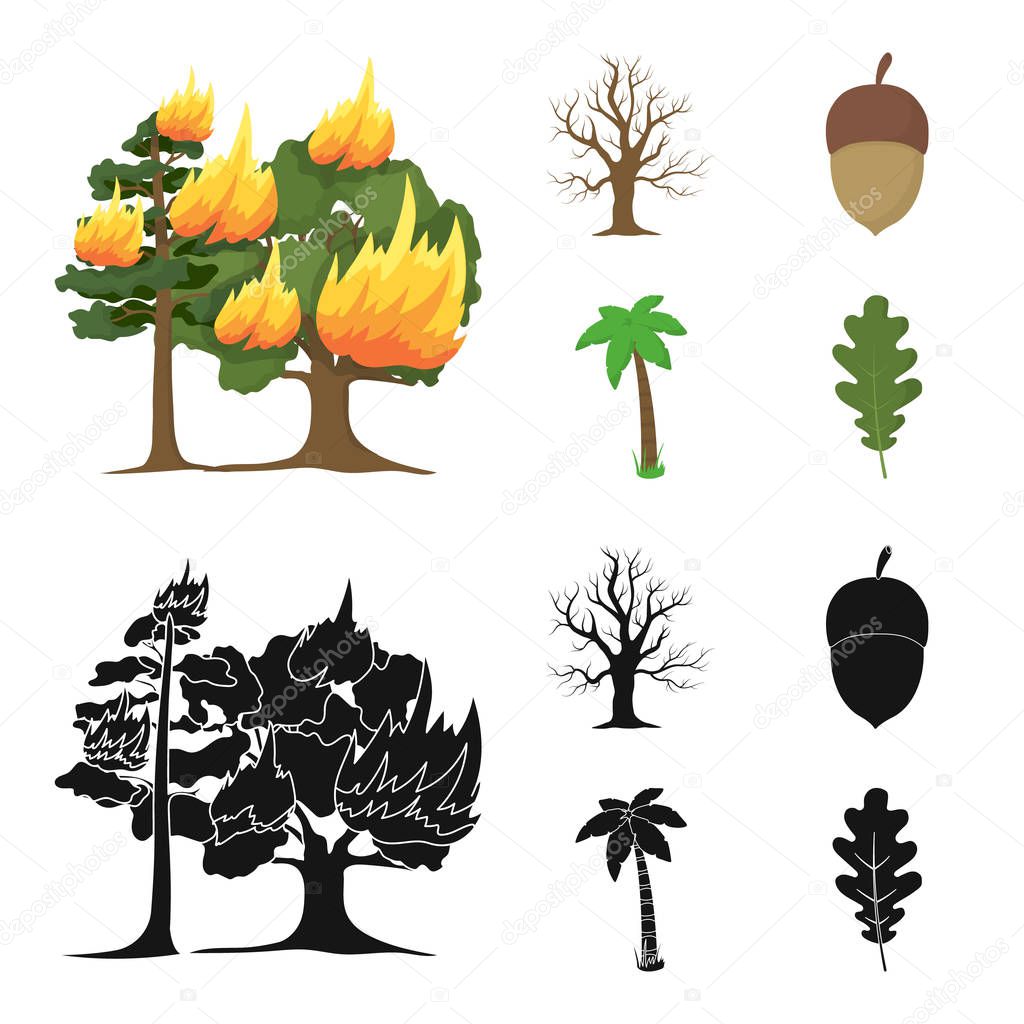 Burning tree, palm, acorn, dry tree.Forest set collection icons in cartoon,black style vector symbol stock illustration web.