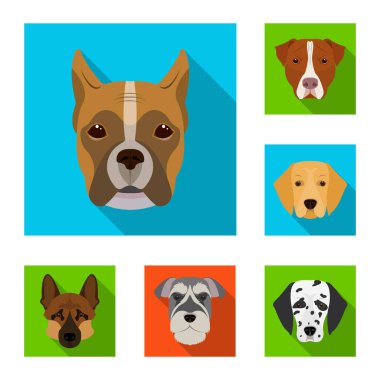 Köpek ırkları set koleksiyonu tasarım için simgeleri düz. Bir köpek vektör simge stok web illüstrasyon namlu.