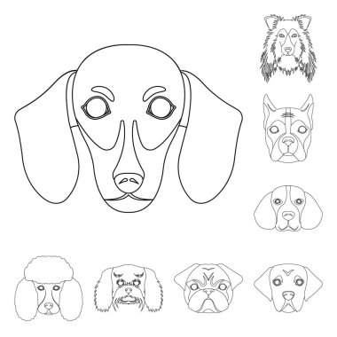 Köpek ırkları set koleksiyonu tasarım için simgeleri anahat. Bir köpek vektör simge stok web illüstrasyon namlu.