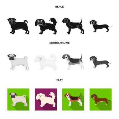 Köpek ırkları set koleksiyonu tasarım için siyah, düz, tek renkli simgeler. Köpek evde beslenen hayvan vektör simge stok web çizim.