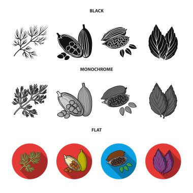 Dereotu, kakao çekirdekleri, fesleğen. Otlar ve baharatlar toplama simgeler siyah, düz, tek renkli stil vektör simge stok çizim web ayarla.