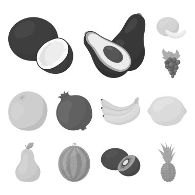 Set koleksiyonu tasarım için farklı meyve tek renkli simgeler. Meyve ve vitaminler sembol stok web illüstrasyon vektör.