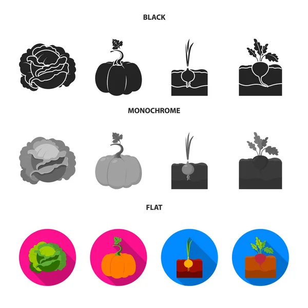 Chou, citrouille, oignon, enterrement.Ensemble de plantes icônes de la collection en noir, plat, symbole vectoriel de style monochrome illustration web . — Image vectorielle