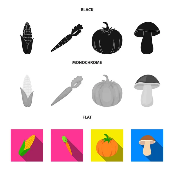 Kukorica kukorica, vitamin sárgarépa tops, tök, erdei gomba. Zöldség készlet gyűjtemény ikonok-ban fekete, sima, fekete-fehér stílus vektor szimbólum stock illusztráció web. — Stock Vector