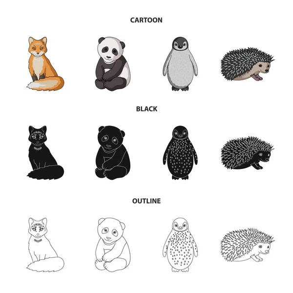 Fox, panda, igelkott, pingvin och andra djur. Djur som samling ikoner i tecknad, svart, disposition stil vektor symbol stock illustration web. — Stock vektor