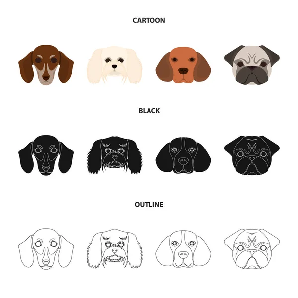 Mynningen på olika hundraser. Hund som rasen Tax, beagle, knähund, mops samling ikoner i tecknad, svart, disposition stil vektor symbol stock illustration web. — Stock vektor